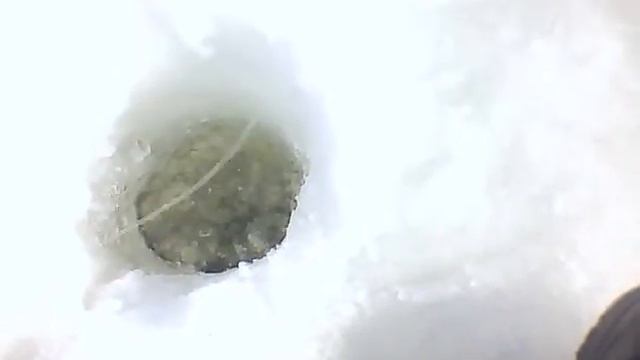 лещь эту мормышку не пропустит,тестирую новую мормышку смотреть онлайн