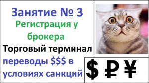 Выбор торговой платформы для трейдинга, брокеры, пополнение счёта в условиях санкций.