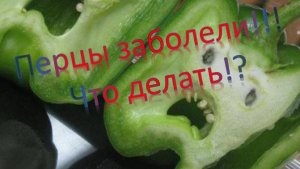 Обработал перцы фитоспорином, умрут или нет