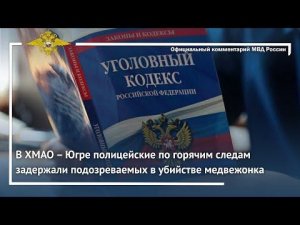 Ирина Волк: В ХМАО–Югре полицейские по горячим следам задержали подозреваемых в убийстве медвежонка