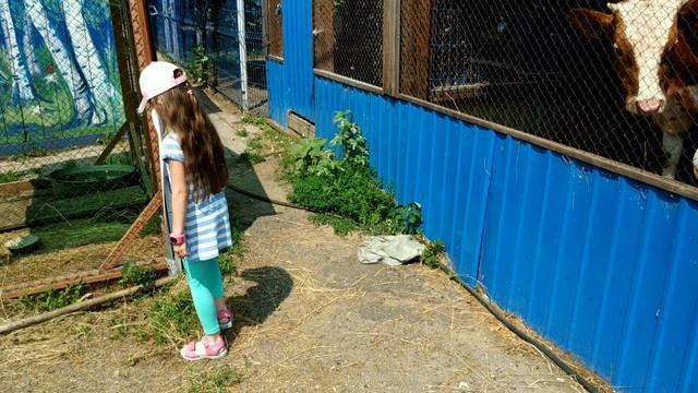 Благовещенский мини- зоопарк смотреть онлайн