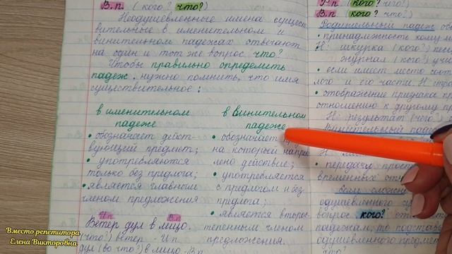 Занятие 7. Именительный и винительный падеж