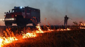 В Ростовской области 29 строений пострадали из-за природного пожара