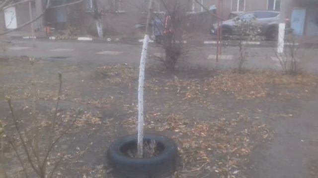 Вот  куда девается просрочка с магазина.
