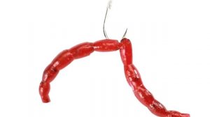 Ловля леща на поплавочную удочку зимой