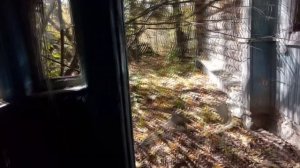 Поиск заброшенной деревни в Рязанской области (часть 2)