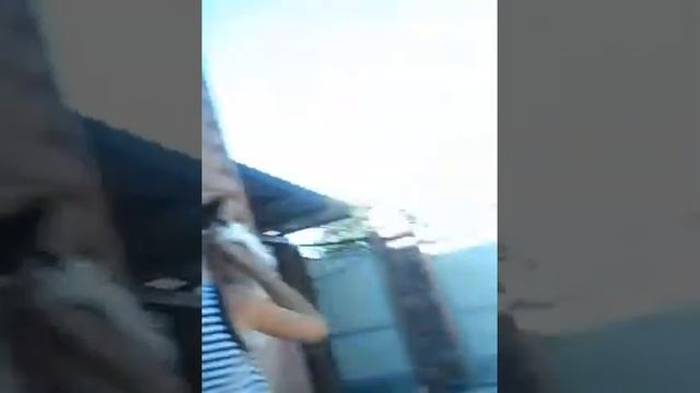 Обзор гироскутера
