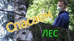 Дела огородно-садовые || Опрыскиваем деревья вокруг дома || Новые люди
