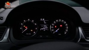 Шкода Рапид skoda rapid активация скрытых функций