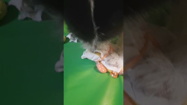 вот второй подарочек