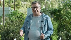 Сажаем сад почти круглый год!