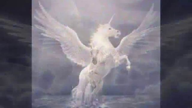 Lotus - Secret Garden смотреть онлайн