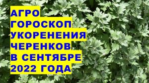 Агрогороскоп нарезки и укоренения черенков растений в сентябре 2022 года