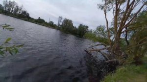 Ловля окуня на джиг риг с берега в сильный ветер или пассивный окунь на джиг риг