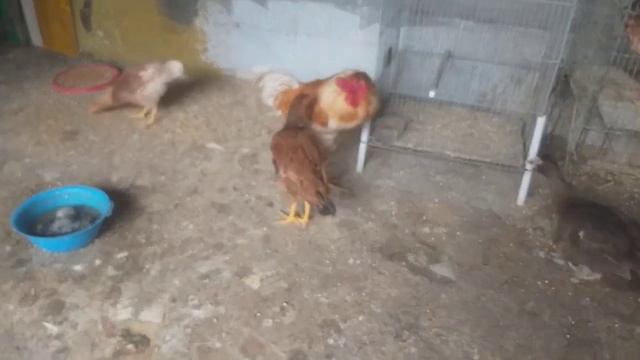 Мода на прошлой неделе (S2 #34) смотреть онлайн