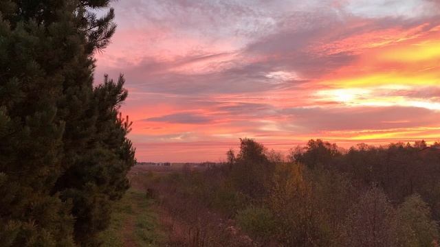 Пятничный поздравления и пожелания 28 октября смотреть онлайн