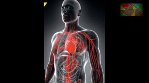 Окружающий мир 3 класс ч.2, Перспектива, с.52-55, тема урока "Как работает наш организм"