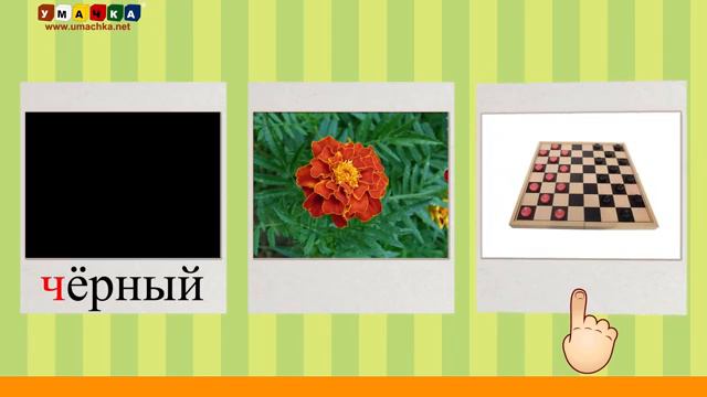 Алфавит Читать Учим с Кругляшиком Буквы и Звуки - Буква Ц смотреть онлайн