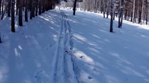 Классическая лыжня, делаем сами.