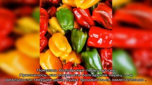 «Сонник Перец болгарский приснился, к чему снится во сне Перец болгарский»