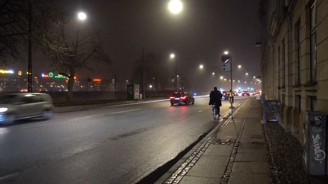 ДАНИЯ ?? Копенгаген . Что едят датчане на новый год. Тиволи, ты серьёзно?