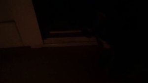 ОСТАЛАСЬ ОДНА ДОМА! КО МНЕ СТУЧАТ В ДВЕРИ!