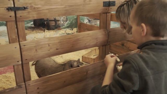 Открой свое сердце смотреть онлайн