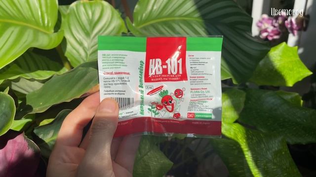 Супер-стимулятор роста, корнеобразователь НВ-101. Особенности применения. смотреть онлайн
