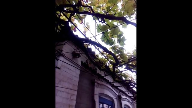 Шаг 1. Подключаю интернет. Интернет в частном секторе.