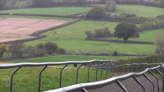 How to improve your horse's fitness with William Fox-Pitt | Horse&Rider смотреть онлайн