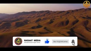 Шейх Чубак ажы Жалилов , ответы на вопросы .