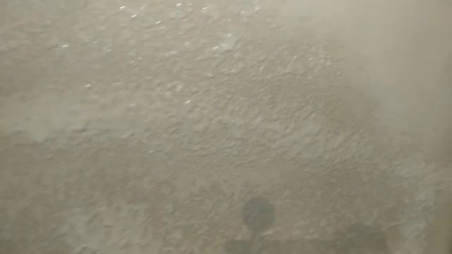 Wagner Control Pro 250 на таке не здатний ? смотреть онлайн