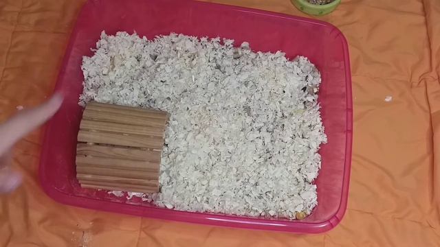 уборка в клетке у хомяка