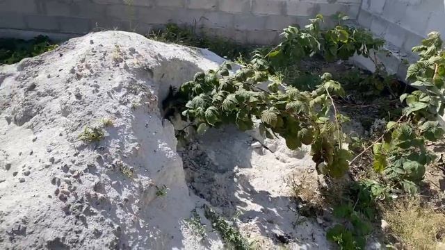 Сделал сам крышки на забор из бетона. планы сделать крышу своими руками смотреть онлайн