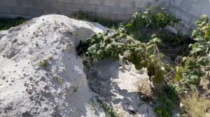 Сделал сам крышки на забор из бетона. планы сделать крышу своими руками