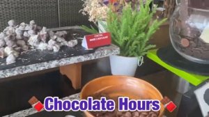 Movenpick Siam Hotel Na Jomtien Pattaya (July 2023) - Kenniesuperstar286