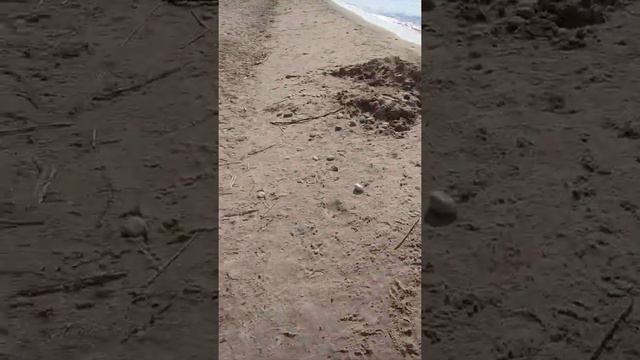 Энхалук июнь 2020