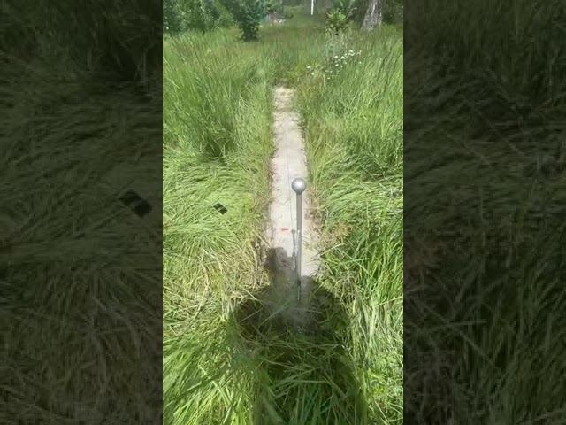 23.06.2024 двенадцать часов дня - продолжаем наблюдать за ЛЕТНИМ СОЛНЦЕСТОЯНИЕМ на РОДна Земе РУСи.