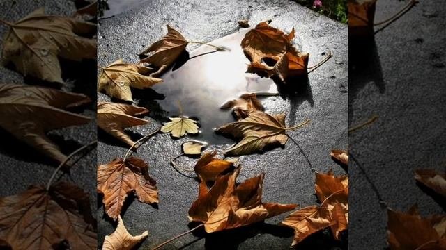 Не уходите вы непопрощавшись...