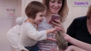 Контактный зоопарк