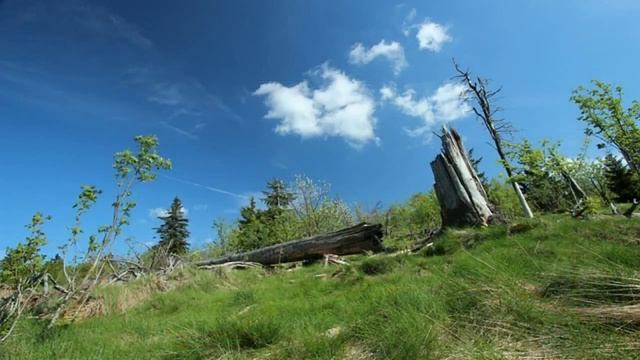 светящиеся наушники купить в Краснокаменске смотреть онлайн