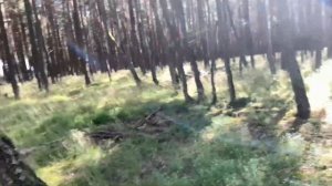 Первый раз в Калининграде. Июнь 2020г.