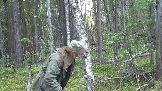 Алга на Бунгало ! смотреть онлайн