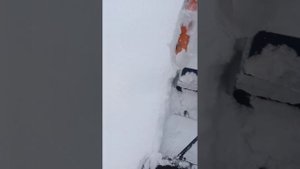 Обзон на мотобуксировщик бурлак м пионер 2023 года выпуска