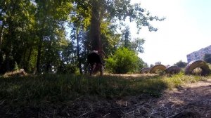 ПКФР ВЛОГ: Молодая Энергия из Кургана