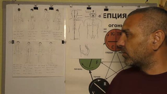Меридианы Объединяющие все Чудесные Меридианы воедино. Видео 5.