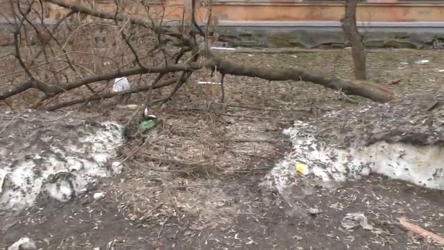 Бидон раскидывает мусор с самолета #Белинского #ярославль