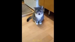 Я не хочу быть взрослым ))