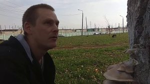 Если Я отравлюсь Грибы Вешенки ? нашли Грибницу