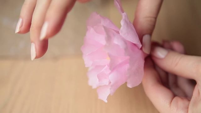 D.I.Y crepe paper peony. Реалистичный пион из бумаги смотреть онлайн
